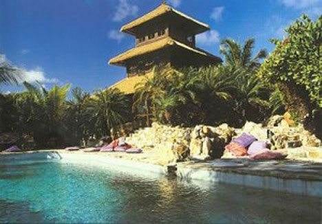 Opulent pool with a palm tree.