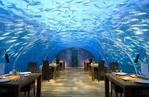 An underwater restaurant with tables and chairs.