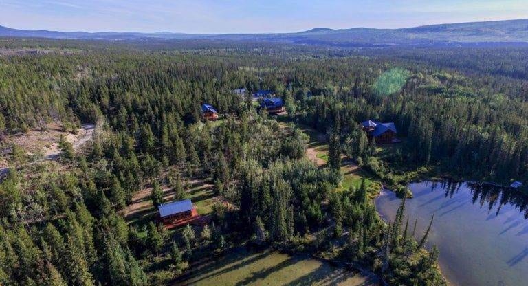A rustic luxury cabin in the forest.