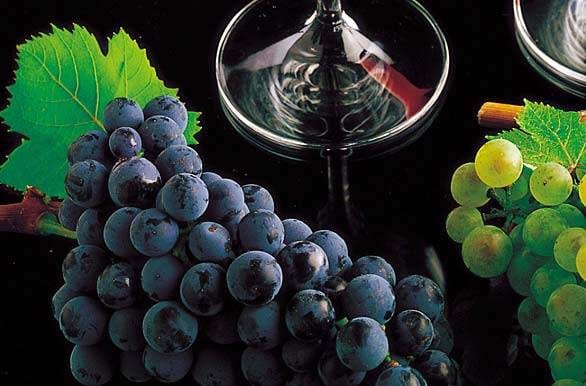 Wine glasses on a black background in Mendoza, Argentina.