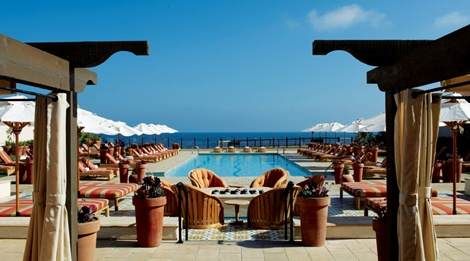 Experience the marine life in a luxurious way at Terranea Resort, featuring an oceanfront pool with lounge chairs and umbrellas.
