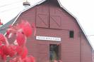 A red barn with red leaves in front of it is the setting for the 1st Annual Steak and Eggs Lunch.