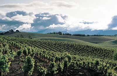 Heard It Through The Grapevine :: 5 Brands Return to California Roots