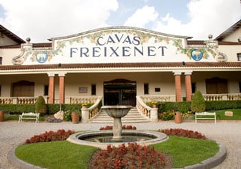 Sparkling Fiesta Fun