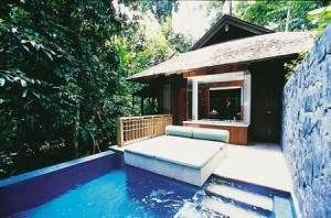 Explore the ancient forest life in The Datai's swimming pool in the middle of a jungle.