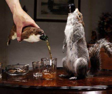 A squirrel drinking from a bottle in a classy manner.