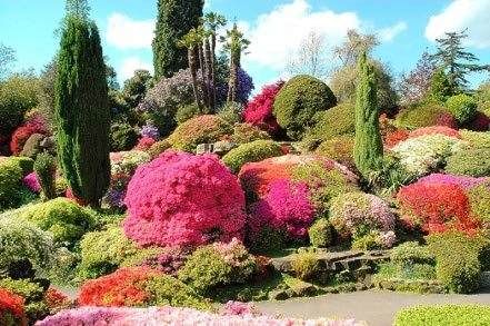 Leonardslee Garden in West Sussex is a garden full of colorful flowers and shrubs.