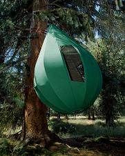 A green tent hanging from a tree in the woods creates a record.