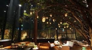 A restaurant with a tree in the middle, Hotel Fasano is finally all set to win your heart.