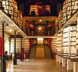 The interior of a wine cellar with rows of barrels at the Roman Abbey in The House of Remy Martin.
