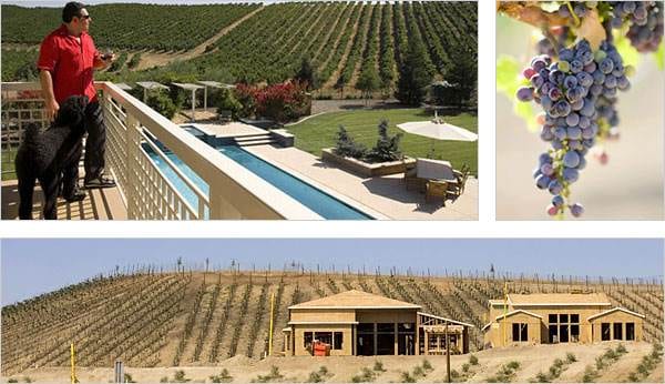 Vineyard Living:: Another Reason to Hate Californians