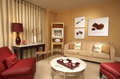 The Scoop On The Sweet Suite :: Hotel Triton’s Haagen-Dazs Room, San Francisco