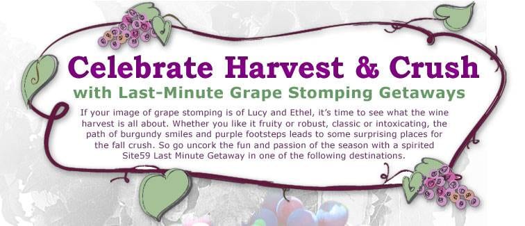 Planet Of The Grapes: Wine Crush Getaways from Site59