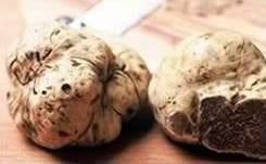 Istrian Truffle Days are Here!