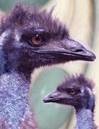 From Terroir to Table: The Charlevoix Flavor Trail, Quebec