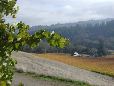 Weekend Wine Country Biking Trips: Zinfully Fun!