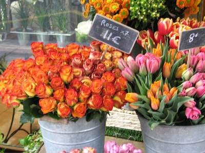parisian flowers