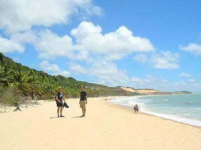 Swimming With Dolphins: Pipa, Brazil
