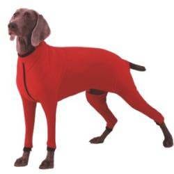 Fashionable Winter Apparel For Your Dog: K9 Top Coat