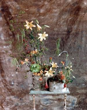 Pedal Pusher :: A Bed of Roses Florist, San Francisco