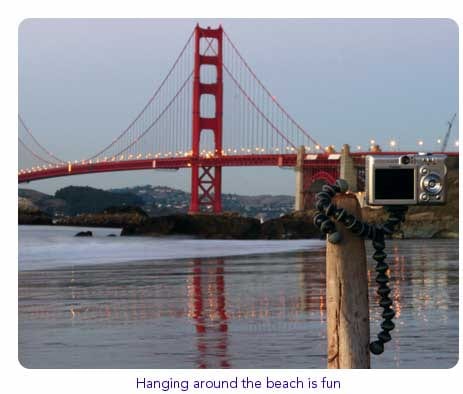 Picture Perfect Flexible Tripod: Gorillapod