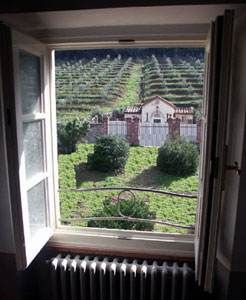 Hotel Albergo Villa Marta :: Lucca, Italy