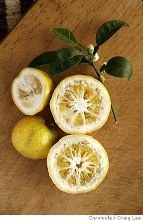 Two Fragrant, Fruit Flavors: Yuzu & Huckleberry