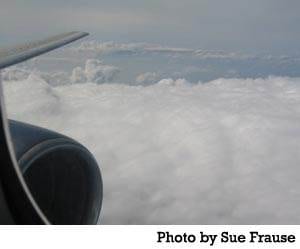 Flying With Strangers? A True Story by Sue Frause