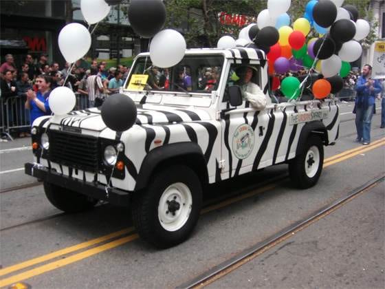 The Total Tour By Land, Sea & Air: The Urban Safari, San Francisco