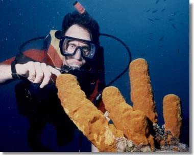 The World’s Scariest Travel Stories: A Real Scream, #3 in a Series