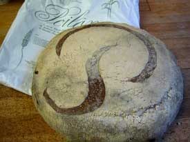 Haute Hotel Sandwich :: Century City, Los Angeles