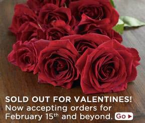 Mix Green With Red: Eco Bouquet for Valentine’s Day