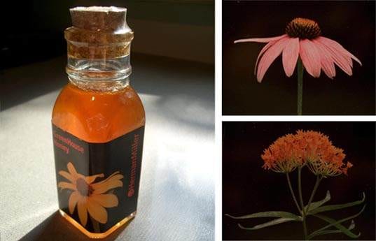 The Latest Buzz: Designer Honey