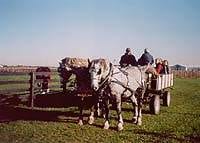 This is one camp I won’t turn up my nose at!  Long Island, NY