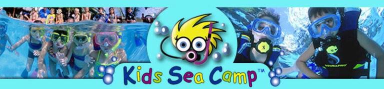 Dive, We Said :: Kids Sea Camps for Ages 4-15