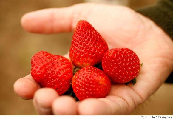 Organic Produce Produces Huge Audience & Profits