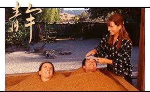 Relax & Rejevenate: Spa Package, Osmosis & The Inn at Occidental, CA