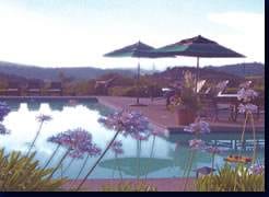 (Em)Power Your Way to Peak Performance Learning Food & Fitness Tips: Olympic Medalist Allison Wagner and Chef Marisa Churchill