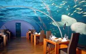 Room With An Undersea View For Wining & Dining :: Ithaa, Hilton Maldives Resort & Spa