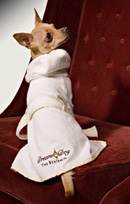 You And Your Doggy Will Both Have Sweet Dreams:: Benjamin Hotel, NYC.