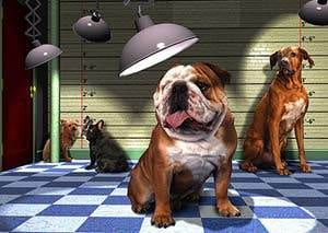 It’s Reigning Dogs: The Wagging Tail, Santa Monica, CA