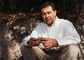 From Vienna to Napa: Gruner Veltliner Wine Grapes