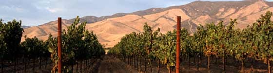 What’s Your Favorite?: The SF Chroncle’s Top 100 Wines