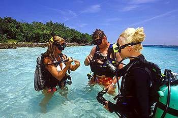 Big Adventure Eco-Tours: Small Hope Bay, Bahamas