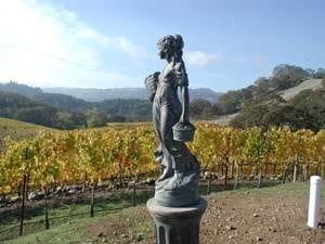 Fly Direct to Sonoma Wine Country: Horizon Air