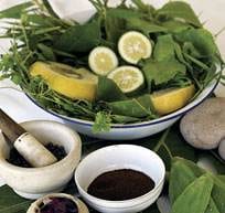 Whadduyah Mean- You Don’t Have a Spa Elder? ::Fern Tree Spa, Jamaica