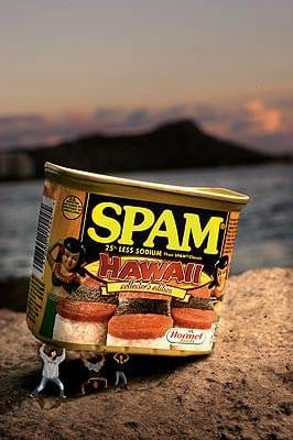 That Spam I Am: Hawaii