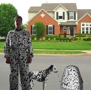 Sit, Stay, Heel & Imitate A Bag: Fido Luggage