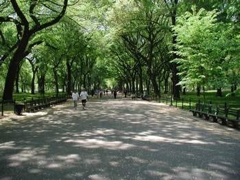 See the Big Apple On a Self-Guided Walking Tour