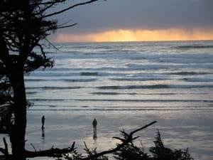 Super Storm Watching on Vancouver Island’s “Wild Side”
